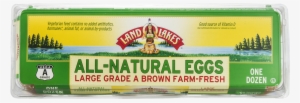Land O Lakes American Cheese 2 Lb Loaf