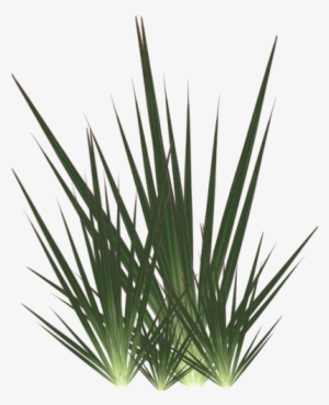 Transparent Vomit - Weed Whacker Lawn Care