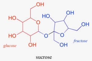 Oligosaccharides And Polysaccharides Are Longer Polymers - Quercetin