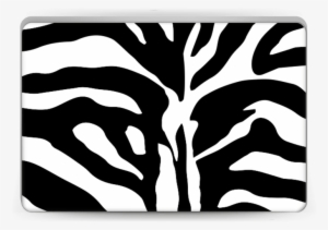 Zebra Pattern - Zebra