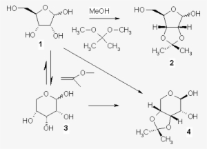 Carbohydrate Acetalisation