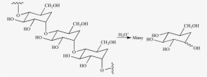 Illustrated Glossary Of Organic Chemistry - Hyaluronic Acid