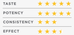 These Are Beautiful, Shiny, Perfect Blueberries - 5 Star Agent Realtor