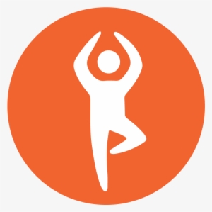 Lifestyle - Nycs Bull Trans C