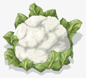 Vegetables Clipart Cauliflower - Cauliflower Clipart