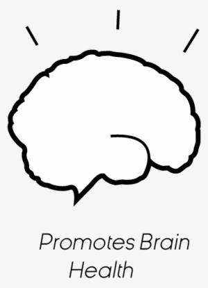 Brain Ryan Jacobson 2017 04 03t20