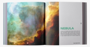 Prev / Next