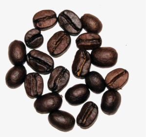 The Cultured Cup® - Cultured Cup Snicker-roo Flavored Light Roast Coffee