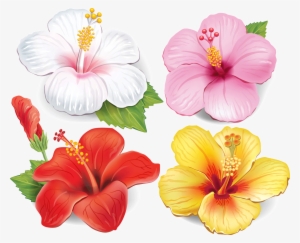 #8 Aufkleber 12er Setautotattoohibiskus Farbigblumen - Hibiscus Vector Free