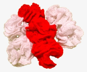 Hoy Se Me Olvidó Llevarme La Cámara De Fotos Al Colegio, - Hybrid Tea Rose