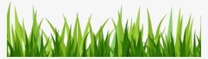 Dibujo Hierba Png - Grass Pasto Vector Png