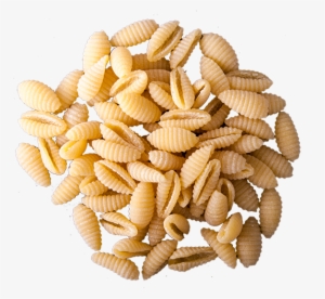Gnocchi Sardi - Macaroni