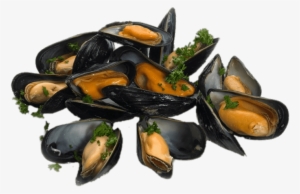 Cooked Mussels With Parsley - Mussel