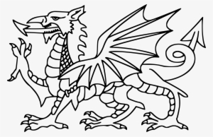 28 Collection Of Welsh Dragon Clipart - Welsh Dragon To Colour