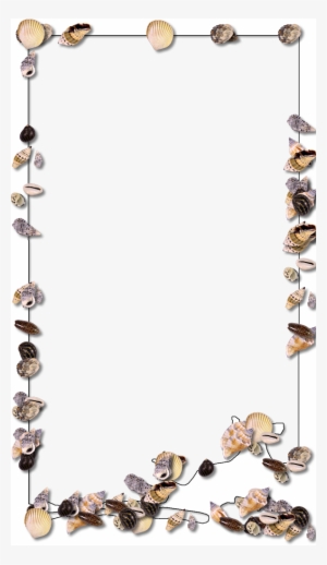 Seashell Border Png Download - Yahoo!
