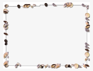 Seashell Border Png - Beach Frame