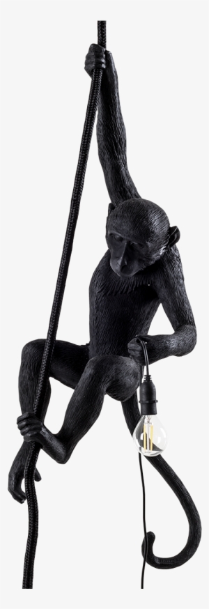 Seletti Monkey Lamp, Ceiling-0 - Monkey Lamp Hanging Ceiling