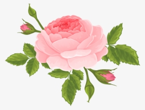 Pink Rose With Buds Png Clip Art Image