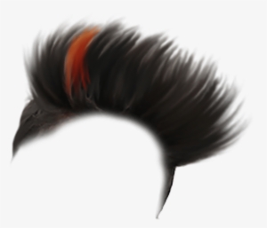 Sample Hair For Boy 23 Cb Hair Style Png - Png Hair Style Download