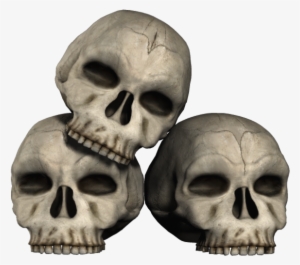 Transparent Skulls
