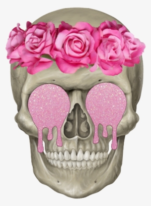 Skull - Skeleton Head Png