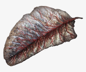 Leaf Of The Bleeding Tree Icon - Flat Iron Steak