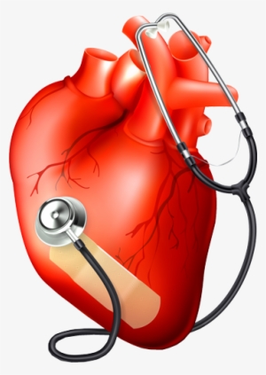 Medical Heart Logo Png - Heart Png For Medical