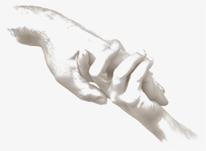 Clip Library Stock Bromhead Chariy Charity Hands Illustration - Charitable Organization