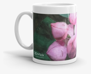 Rose Buds