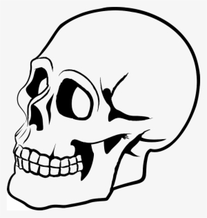 Skull Cartoon Png