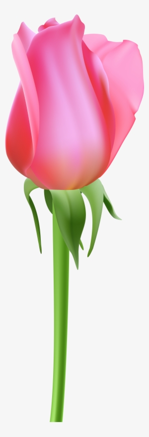 Red Rose Bud Painted Clipart - Rose Bud Clip Art - 328x501 PNG Download ...