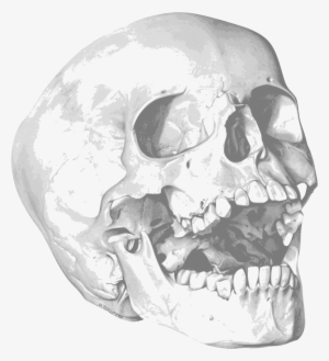 This Free Icons Png Design Of Calavera