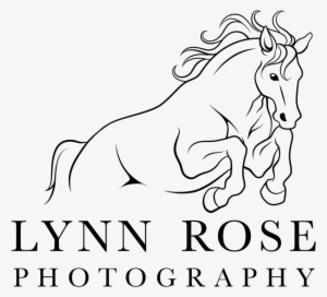 Lynn Rose Black - Portable Network Graphics