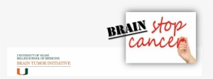 The University Of Miami Brain Tumor Initiative - Carmine