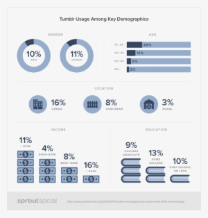 Tumbler For Business-02 - Twitter Usage Among Key Demographics
