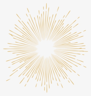 Sun Burst - Management