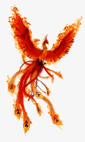Phoenix 160903 07ab - Phoenix Bird Png