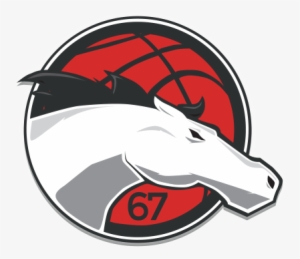 Leicester Riders Vs - Leicester Riders Champions League