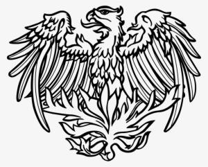 University Of Chicago Phoenix