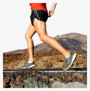 Compression Knee Sleeve (2 Pcs) - Small