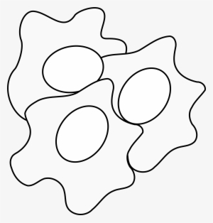 Fried Egg Clip Art At Clker - Eggs Clip Art