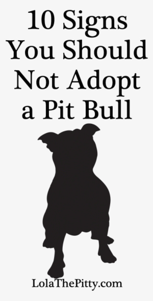10 Signs You Should Not Adopt A Pit Bull - Verisign
