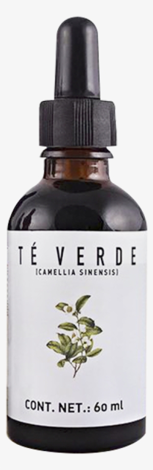 Pl Organic, Tintura De Té Verde, 60ml - Tea Plant