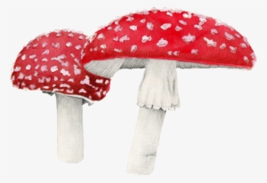 Amanita Muscaria Png Free Download - Amanita Png