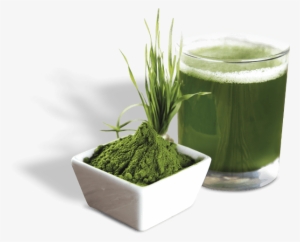 Tablas - Z Natural Foods Barley Grass Powder - Organic 55 Lbs