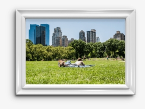 Respirar Cerca Del Suelo Me Ayuda A Engañar A Los Pulmones - Grass