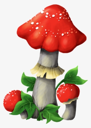 Яндекс - Фотки - Medicinal Mushroom