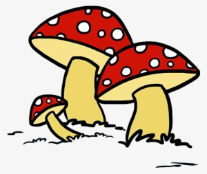 How To Draw Mushroom - Drawing