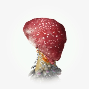 Red Skirt Poison Mushroom - Icon