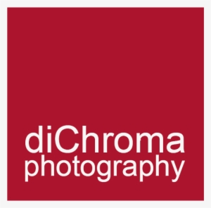 Logo Dch Photography Positivo - Af Photography